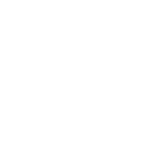 BYD Logo